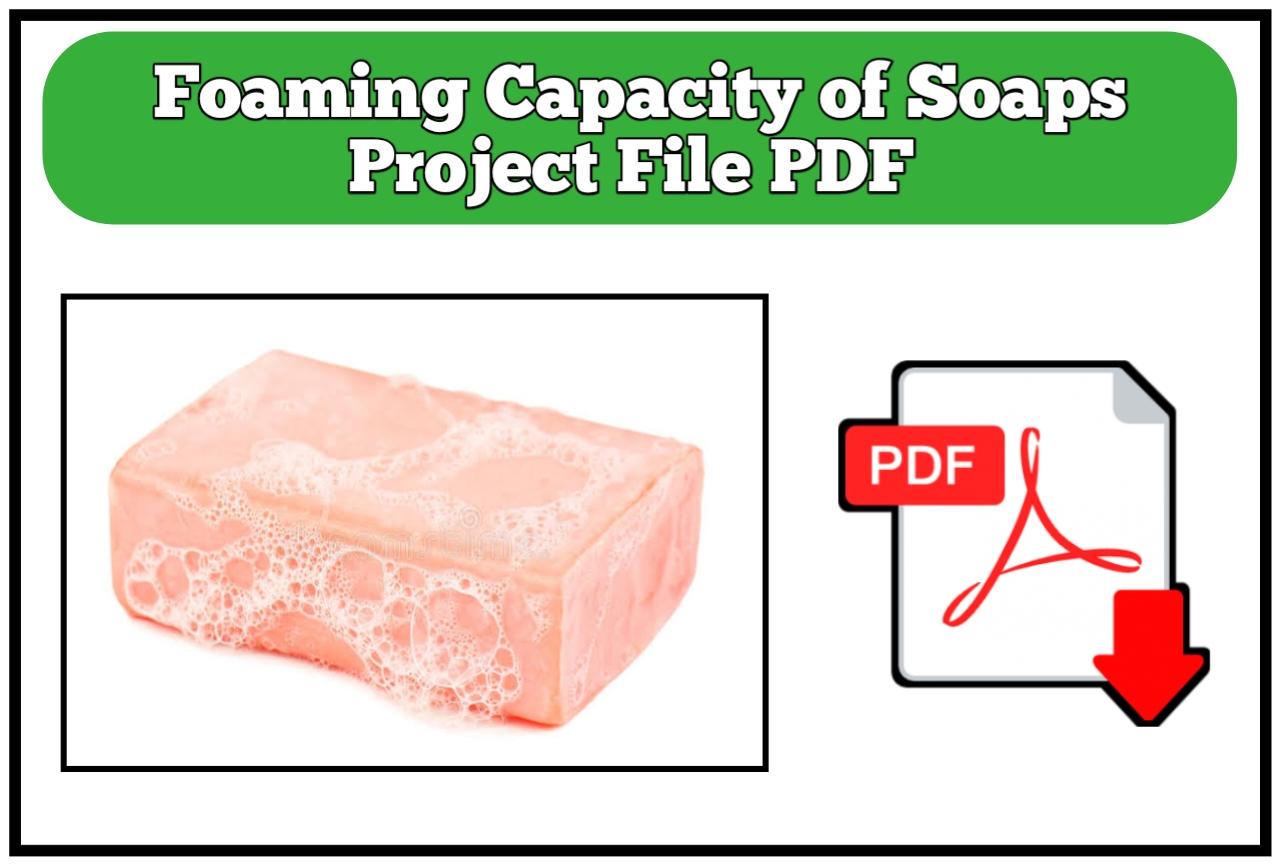Detergent And Soap Polymers - Copolymer D C Manufacturer from Kalol