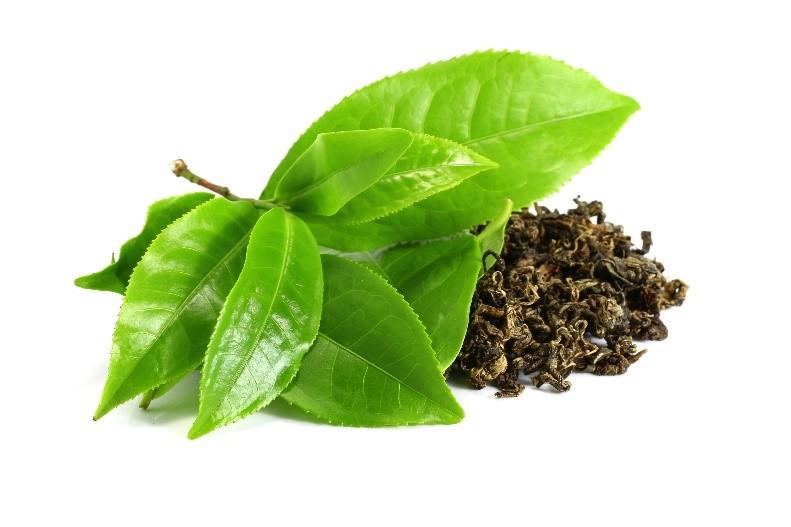 Acidity In Tea Leaves Investigatory Project PDF class 12: Download Now
